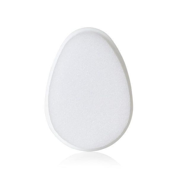 The FlakeFixer Replacement Sponge (2Pieces)