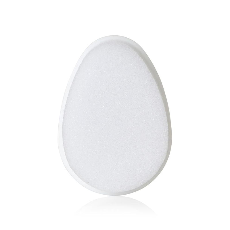 The FlakeFixer Replacement Sponge (2Pieces)